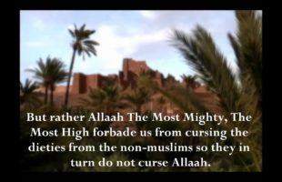 Advice To The Muslims On The Anti-Prophet Movie – Shaykh Saalih al-Luhaydaan