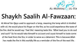 Burning yourself with fire as a deterrent from sins – Shaykh Saalih Al-Fawzaan