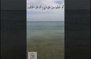 Reflect Over The Creation Grafton Beach Tobago by Ḥasan Ṣomālī