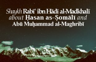 Shaykh Rabi‘ ibn Hādī al-Madkhalī about Ḥasan as-Ṣomālī & Abū Muḥammad al-Maghribī