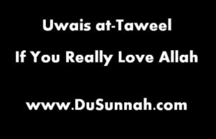Uwais at-Taweel – If You Really Love Allah