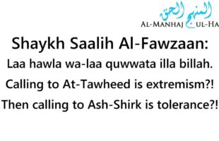 You Have Extremism in calling to Tawheed! – By Shaykh Saalih Al-Fawzaan