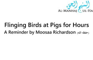 Flinging Birds at Pigs for Hours – A Reminder by Moosaa Richardson