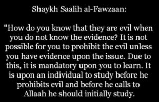 How Do you Know They are Evil When you Have not Memorised the Proofs?