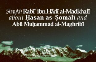 Shaykh Rabī‘ ibn Hādī al-Madkhalī about Ḥasan as-Ṣomālī & Abū Muḥammad al-Maghribī