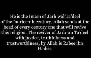 The Imam of Jarh wal Ta’deel is Rabee ibn Hadee | Shaykh Muhammed ibn Abdul Wahhab al-Bannah