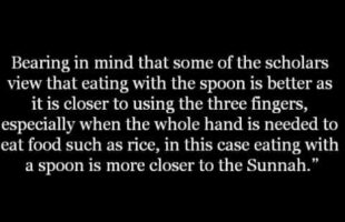 The Ruling on Eating with a Spoon | Shaykh Zayd al-Madkhalee