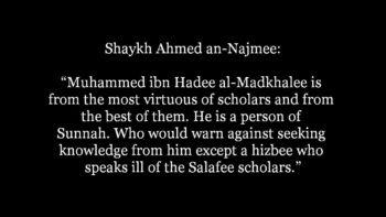 Who would warn against Muhammed ibn Hadee except a Hizbee.