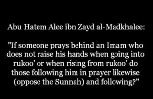 Do I follow the Imam in Prayer even if he Opposes the Sunnah in it? | Shaykh Zayd al-Madkhalee