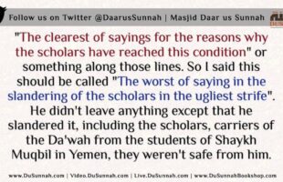 They (Yahya and Damaaj) haven’t spared any of the Salafees, in Yemen or outside it