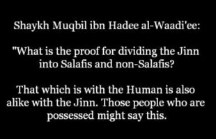 What is the proof to divide the Jinn Salafis and non-Salafis.
