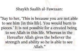 Why Can’t We See Allaah in this Life? | Shaykh Saalih al-Fawzaan