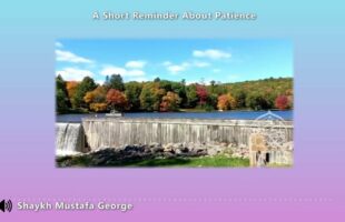 A Short Reminder About Patience by Shaykh Mustafa George