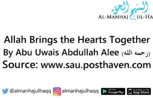 Allah Brings the Hearts Together – By Abu Uwais Abdullah Alee