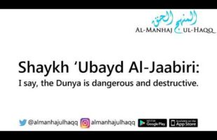 Cutting Off One’s Salafi Brother/Sister Due to the Dunya – By Shaykh ‘Ubayd Al-Jaabiri