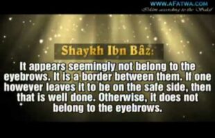 Ibn Bâz about women removing the hair between the eyebrows
