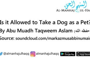 Is it allowed to take a dog as a pet? – By Abu Muadh Taqweem Aslam