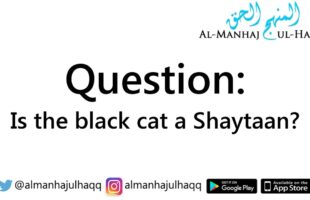 Is the Black Cat a Shaytaan? – By Shaykh Al-Albaanee