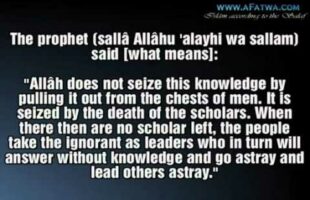 Not Everyone Who Graduates From An Islamic University Is A Scholar [Sheikh Fawzan)
