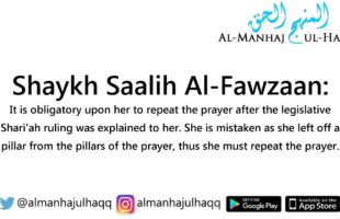 Not Standing in the Obligatory Prayer While Being Able – By Shaykh Saalih Al-Fawzaan