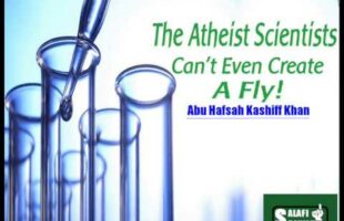 The Atheist Scientists Can’t Even Create A Fly