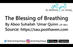 The Blessing of Breathing – By Abu Suhailah ‘Umar Quinn