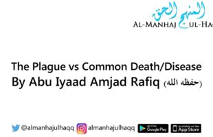 The Plague vs Common Death/Disease – Explained by Abu Iyaad Amjad Rafiq