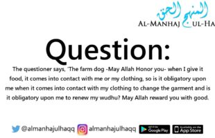 What to do if a dog touches you or your clothes – Explained by Shaykh Bin Baaz