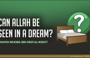 Can Allah be Seen in a Dream? | Shaykh Muqbil