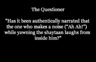 Covering the Mouth While Yawning | Shaykh Zayd al-Madkhalee