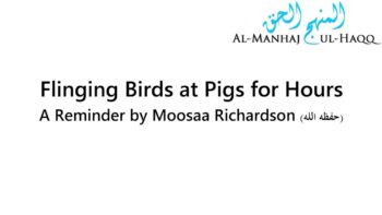 Flinging Birds at Pigs for Hours – A Reminder by Moosaa Richardson