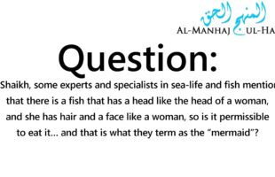 Existence of “Mermaids” and Rulings Regarding them! – By Shaikh Saalih Al-Fawzaan