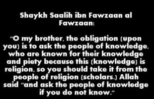 Seeking Fatwa | Shaykh Saalih al-Fawzaan