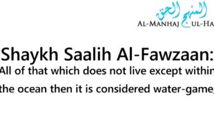Is Eating Dolphin and Shark Permissible? – By Shaykh Saalih Al-Fawzaan