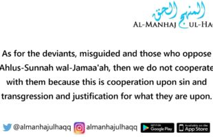Cooperation with various Islamic groups against secularism – By Shaykh Saalih Al-Fawzaan