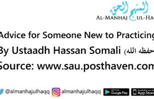 What is Your Advice for Someone New to Practicing? – By Hassan Somali