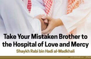 How Muslims Deal with Each Other | Shaykh Rabee al-Madkhali