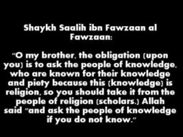 Seeking Fatwa | Shaykh Saalih al-Fawzaan