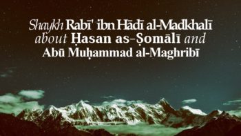 Shaykh Rabi‘ ibn Hādī al-Madkhalī about Ḥasan as-Ṣomālī & Abū Muḥammad al-Maghribī