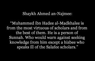 Who would warn against Muhammed ibn Hadee except a Hizbee.