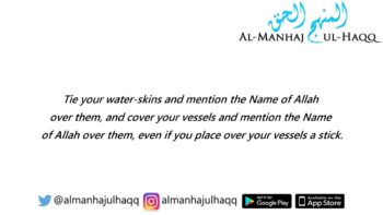 Is covering the vessels during the night obligatory or not? – By Shaykh ‘Ubayd Al-Jaabiree