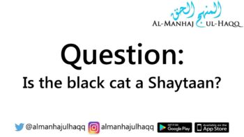 Is the Black Cat a Shaytaan? – By Shaykh Al-Albaanee