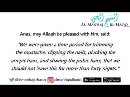 The Ruling on Nail Extensions (i.e., Fake Nails) – Answered by Shaykh Abdul-Azeez Ibn Baaz